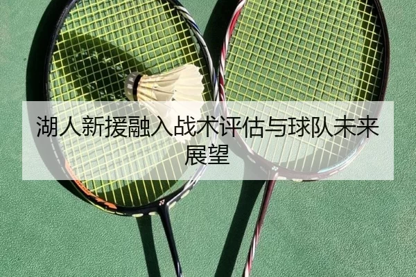 湖人新援融入战术评估与球队未来展望