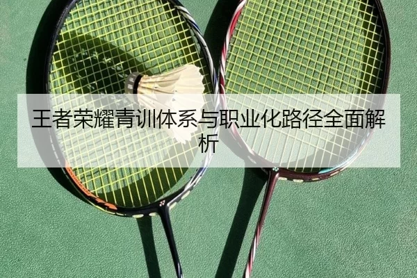 王者荣耀青训体系与职业化路径全面解析
